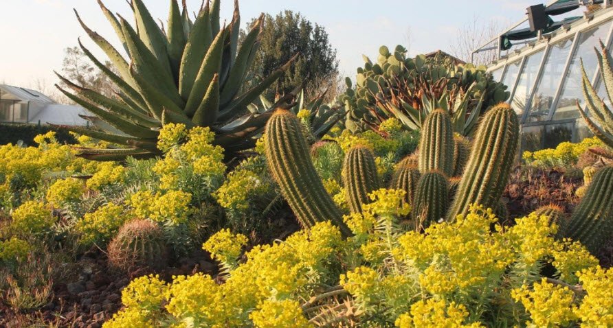 Botanic Garden - Tor Vergata University of Rome - Department of Biology, Italy